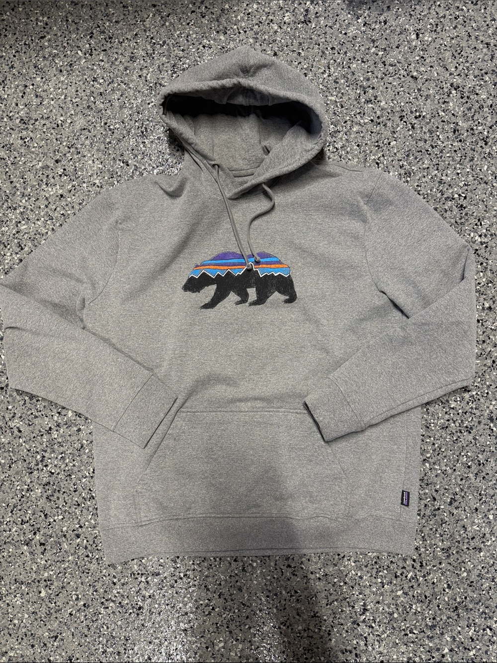 Patagonia Gray Hoodie with Multicolor Bear Graphic